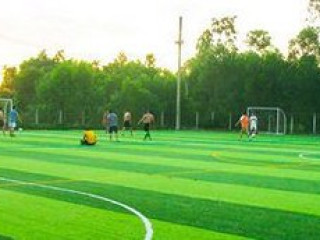 Thi công sân bóng cỏ nhân tạo trường liên cấp quốc tế The Deway School