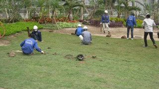 4 bước cơ bản để có một sân vườn bằng cỏ nhân tạo