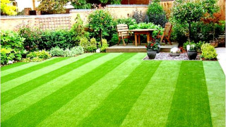 Cách lựa chọn cỏ nhân tạo sân vườn phù hợp