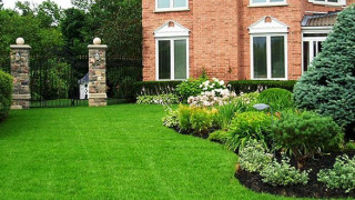 Những khu vườn thích hợp sử dụng cỏ nhân tạo sân vườn