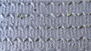 Những thông số về cỏ nhân tạo mà bạn cần biết 