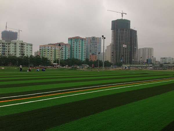 Dự án sân cỏ nhân tạo FPT - Hoàng Minh Giám - Hà Nội