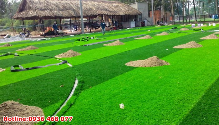 Bảo dưỡng cỏ nhân tạo tại Thanh Hóa