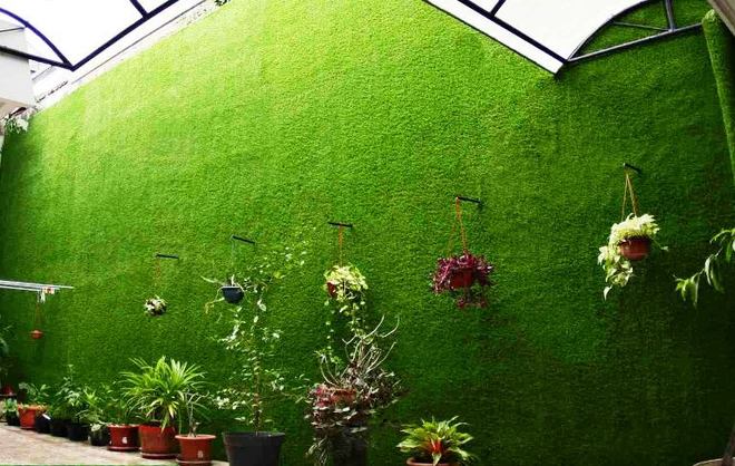 Thảm cỏ nhân tạo tuyệt đẹp cho ngôi nhà của bạn